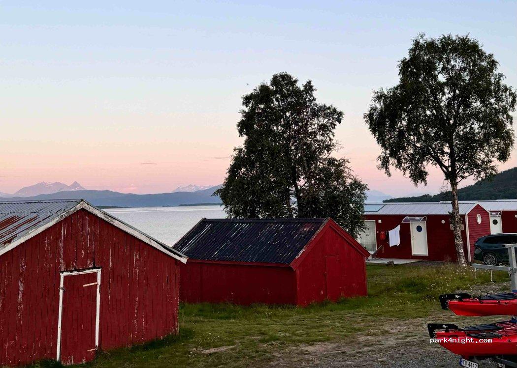 Norwegian Wild - Foto 2