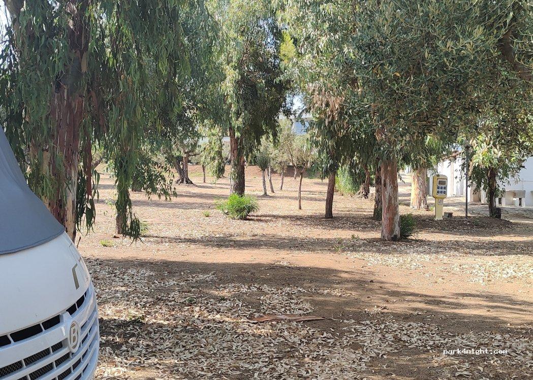 Villaggio Camping Uliveto - Foto 4