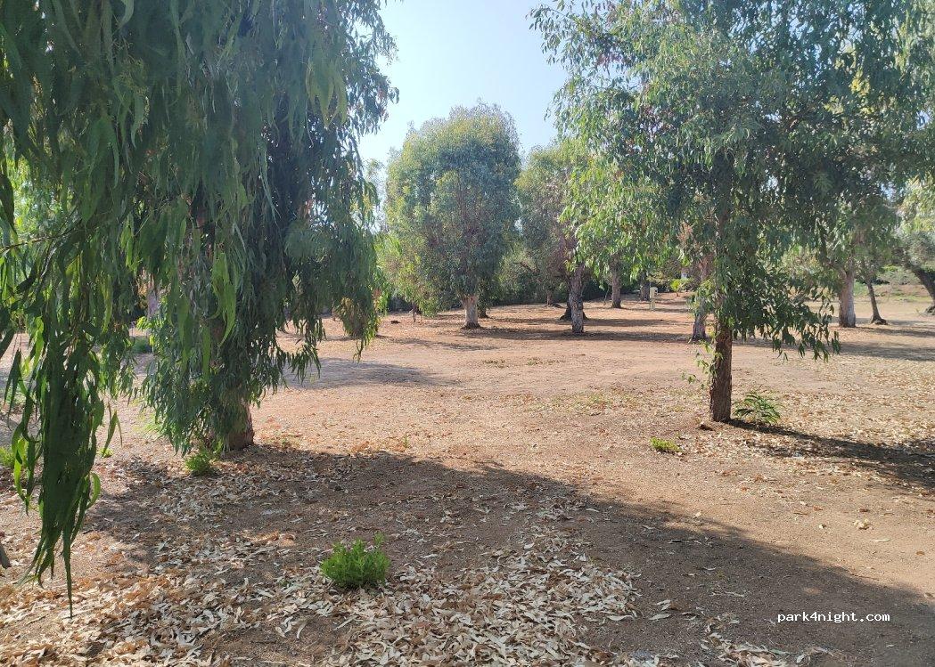 Villaggio Camping Uliveto - Foto 6