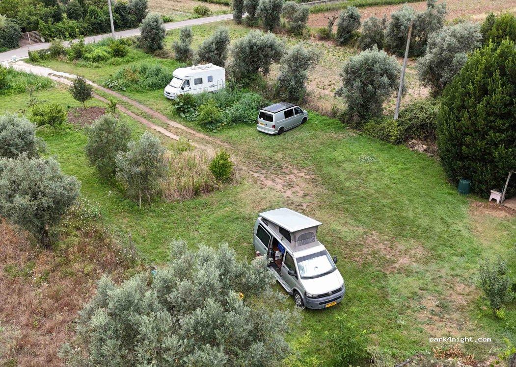 "Terra da Barraquinha"