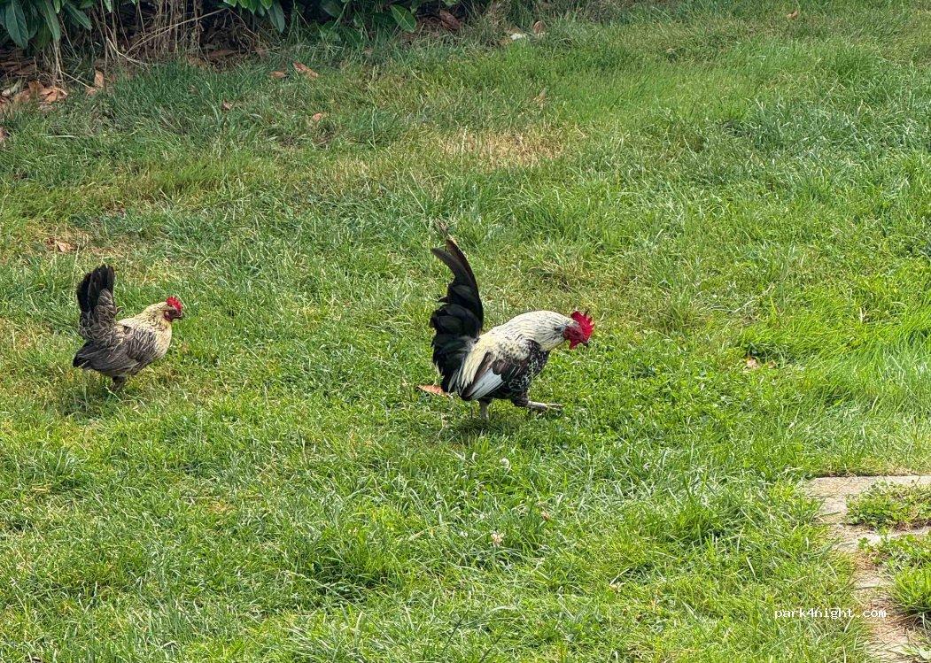 Camperplaats Zevenhoven - Foto 7