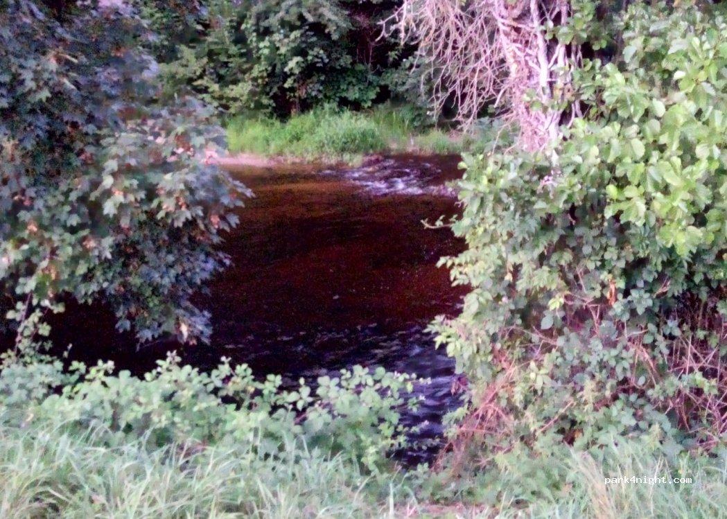 Parking pour camping-car - Foto 6