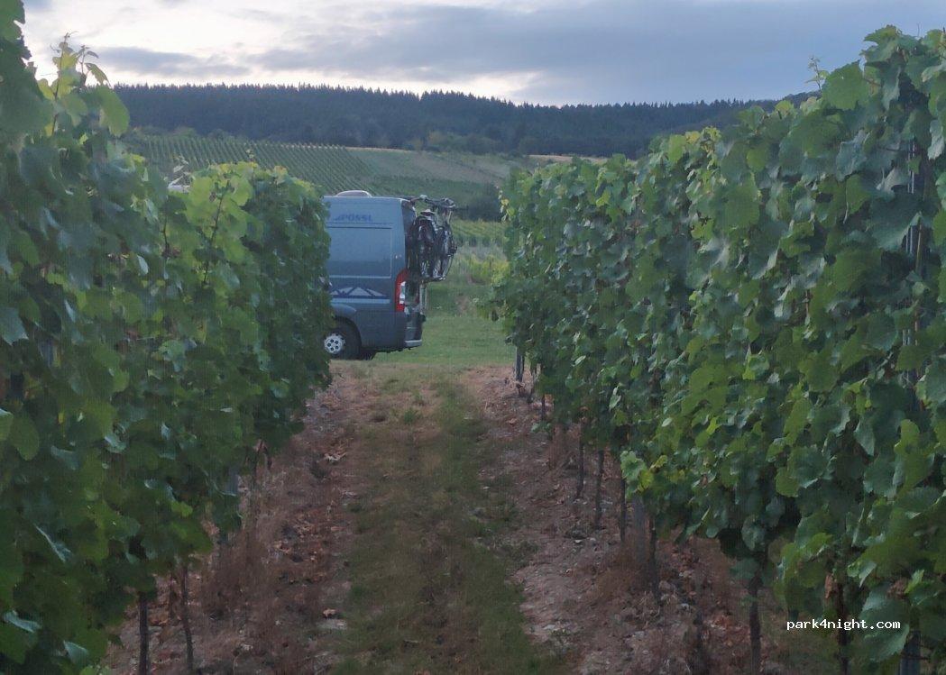 Wohnmobilstellplatz Kinheim - Foto 7