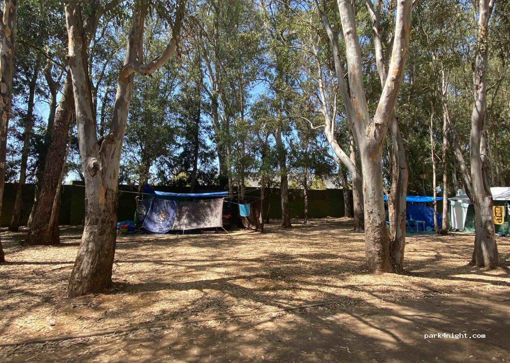 Camping Arbol Solo - Foto 2