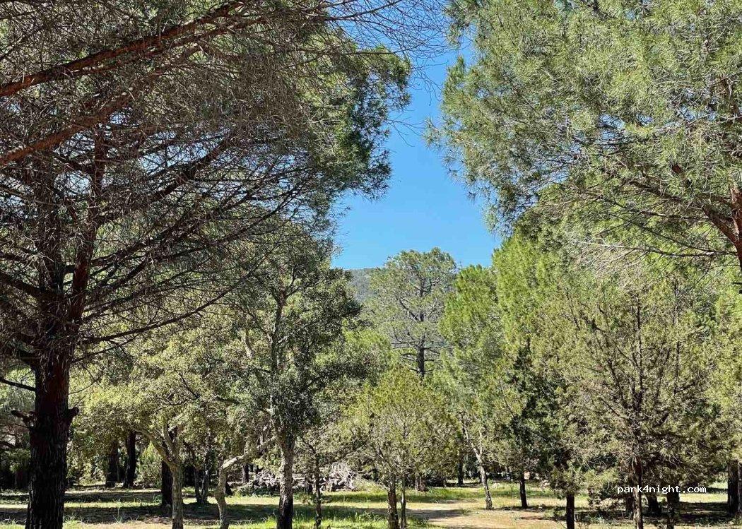 PALOMBAGGIA Parcheggio Auto-Campeggio "I Pini" - Foto 2