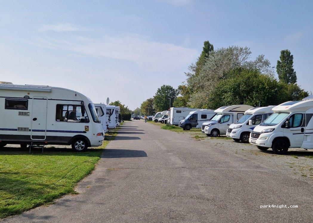 Peter Parking - Foto 6