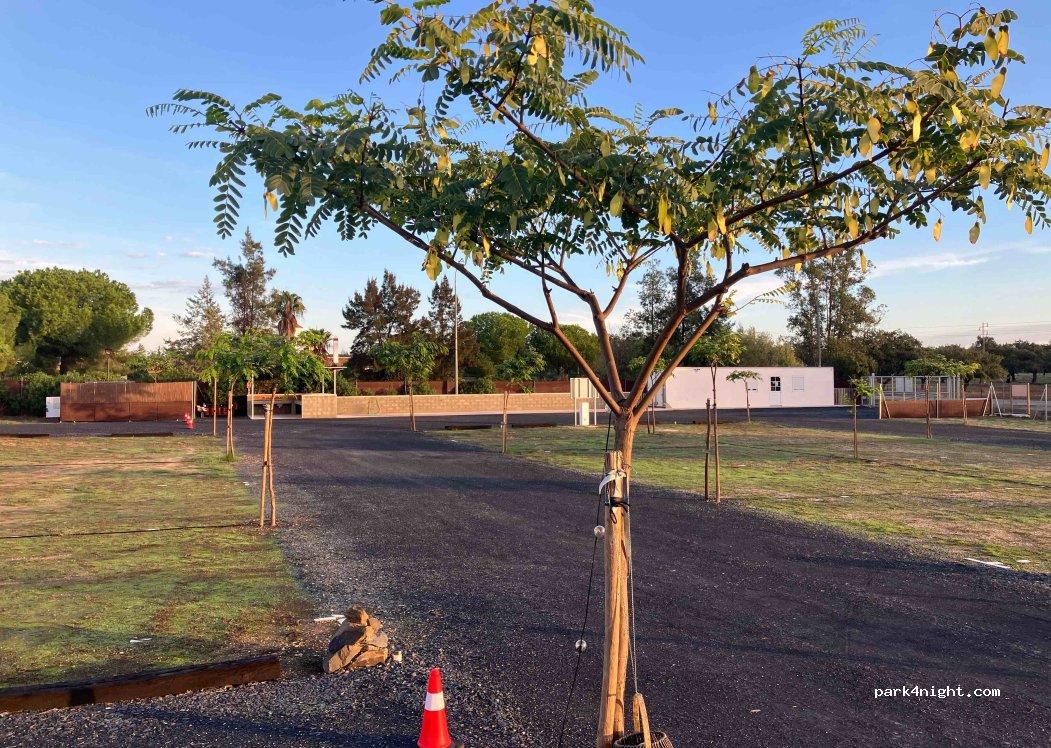 Camperpark El Alamo - Foto 4