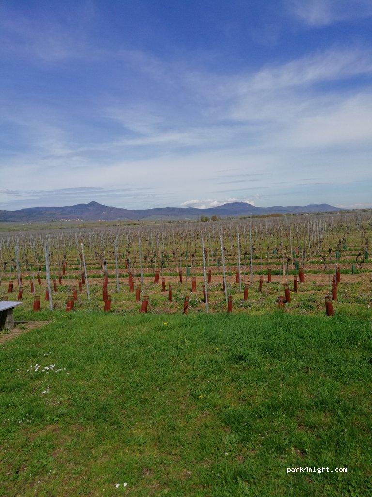 aire de stationnement camping cars 68630 Bennwihr - Foto 7