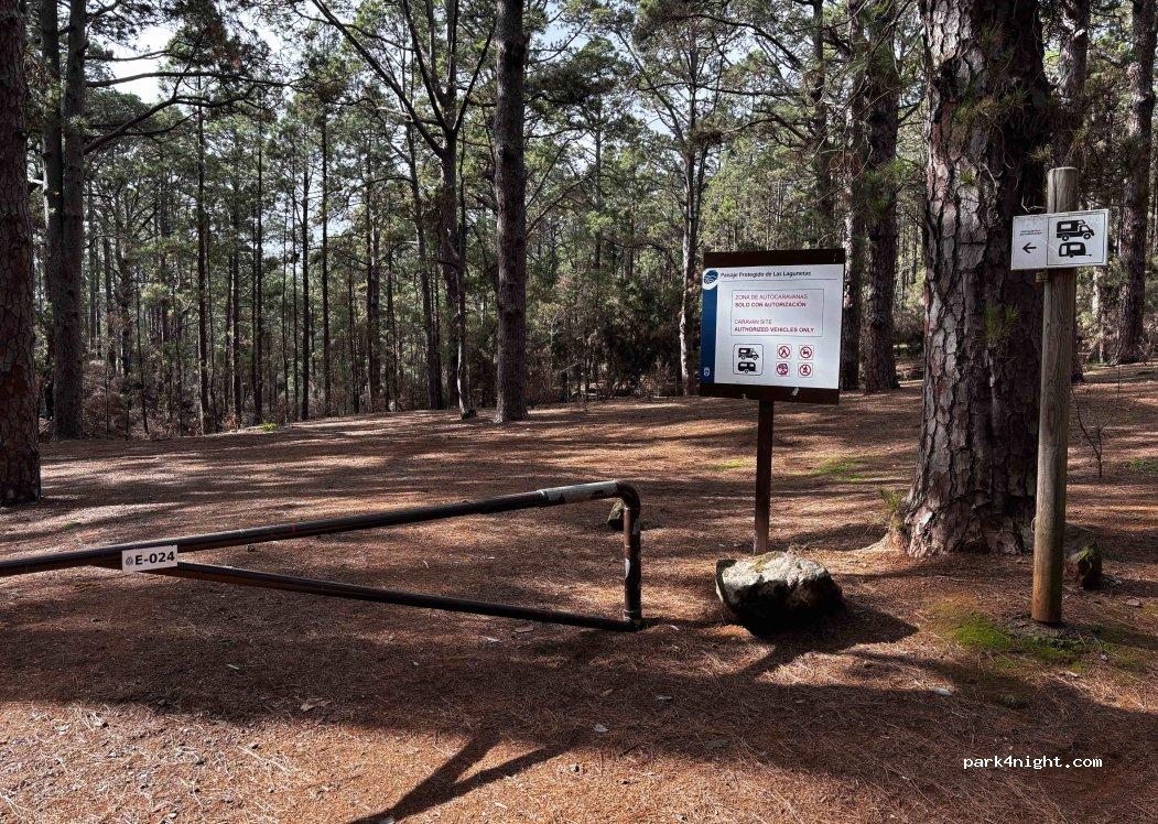 Zona De Acampada De Las Raíces