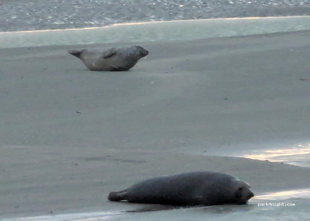 Aire de stationnement pour camping-car du Phare de Berckr - Foto 6
