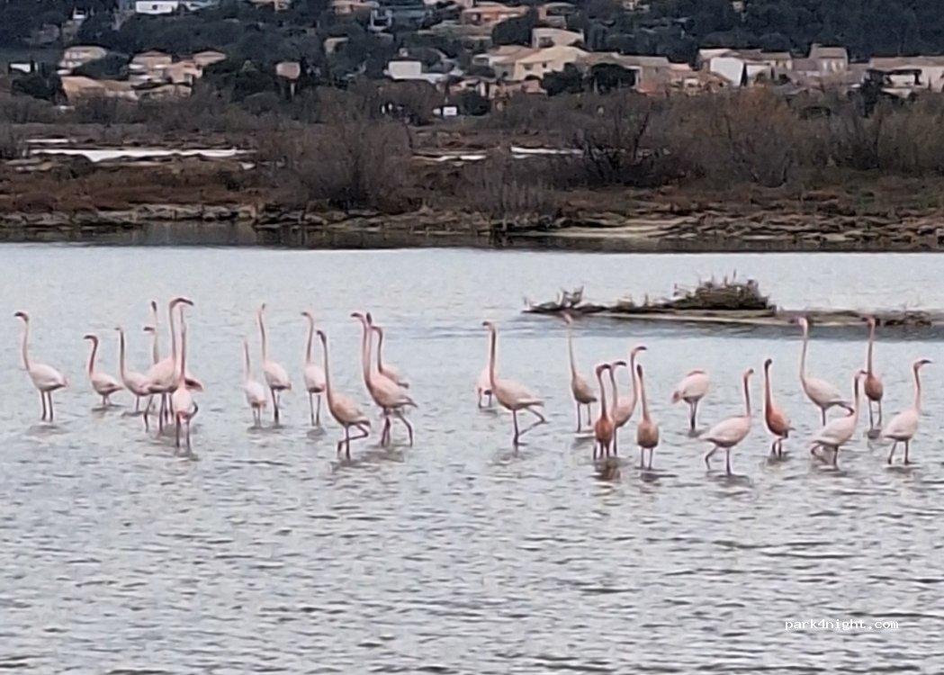 Camping Concept Car - La Palme - Foto 2