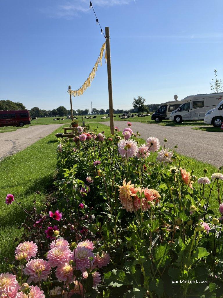 Camperplaats de Hoge Valk - Foto 3