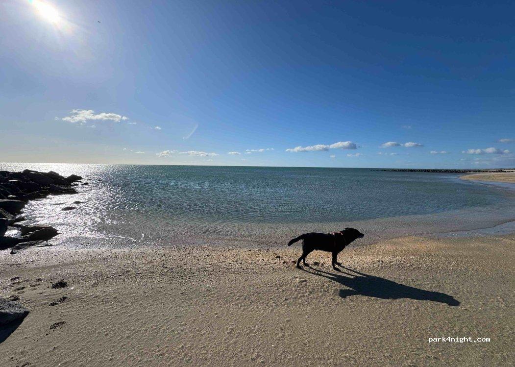 Aire de Camping Car des Trois Digues - Foto 5