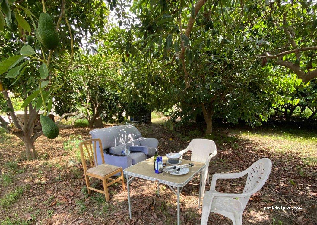 Espacio Verde Oasis - Foto 2