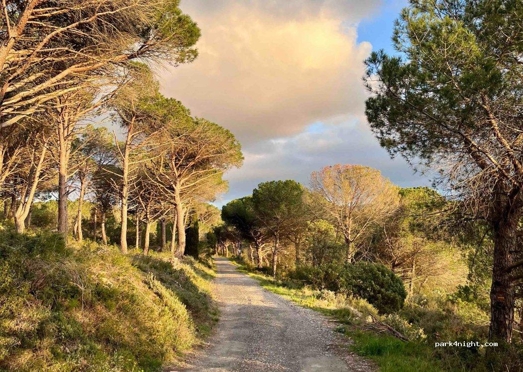 Camping Ushuaia Camp - Foto 2