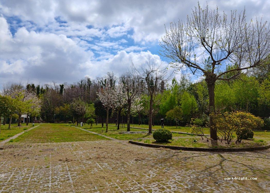 Sosta Camper Napoli - Parco Dei Camaldoli - Foto 5