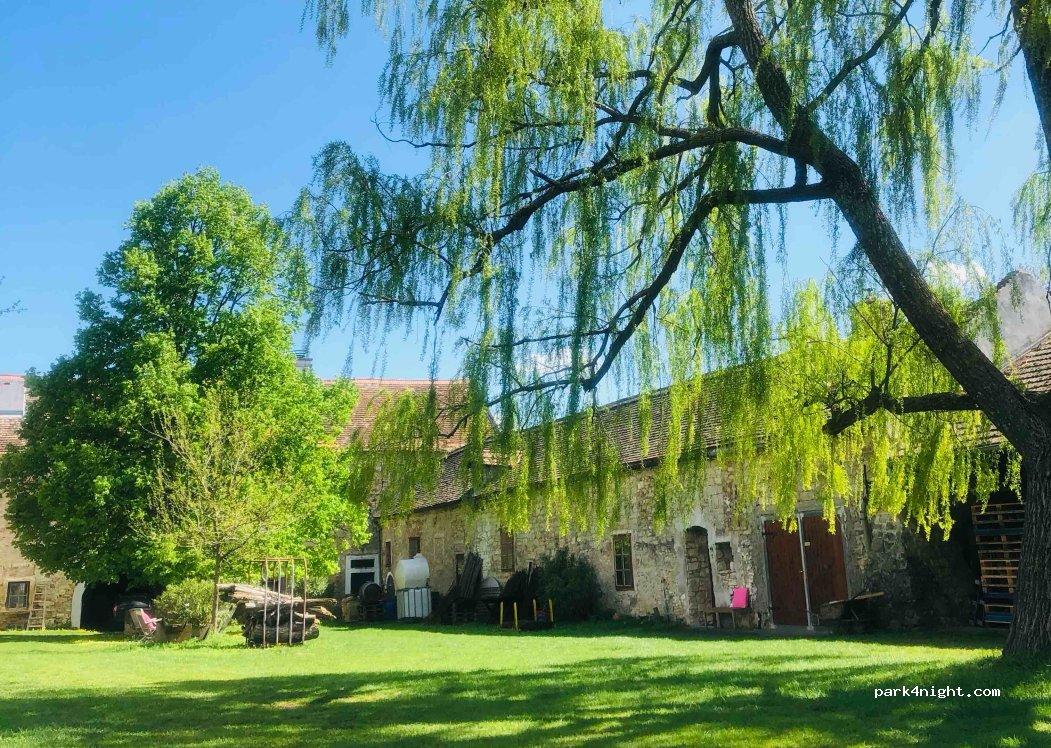Wohnmobilstellplatz Bioweingut Edelhof - Foto 4