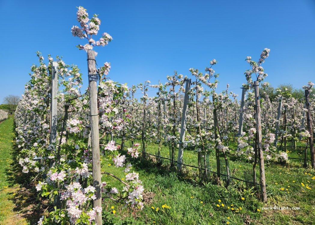 Camperplaats De Woerdt - Foto 3