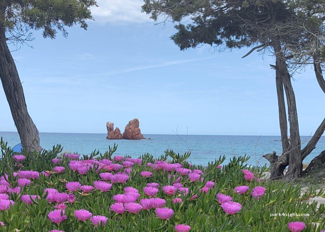 Area Attrezzata Camper Baia Cea Tortolì - Foto 2