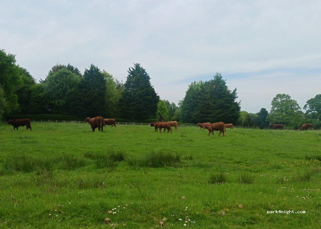 Aire de camping-car à la ferme de La Maison Blanche - Foto 6
