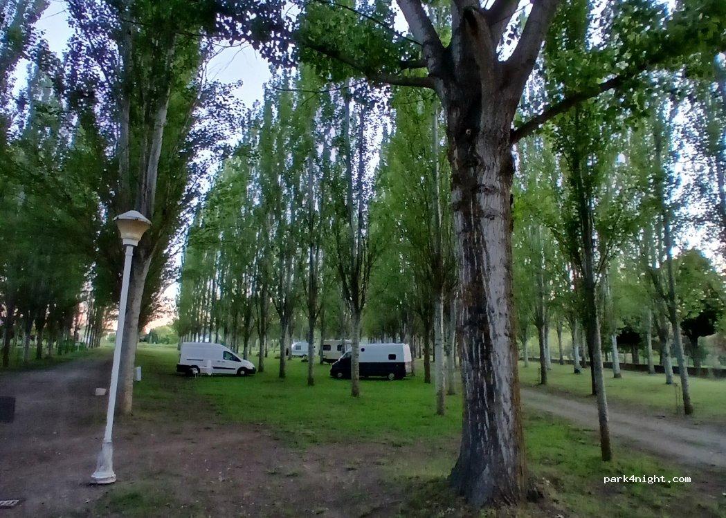 Camping Arbol Solo - Foto 5