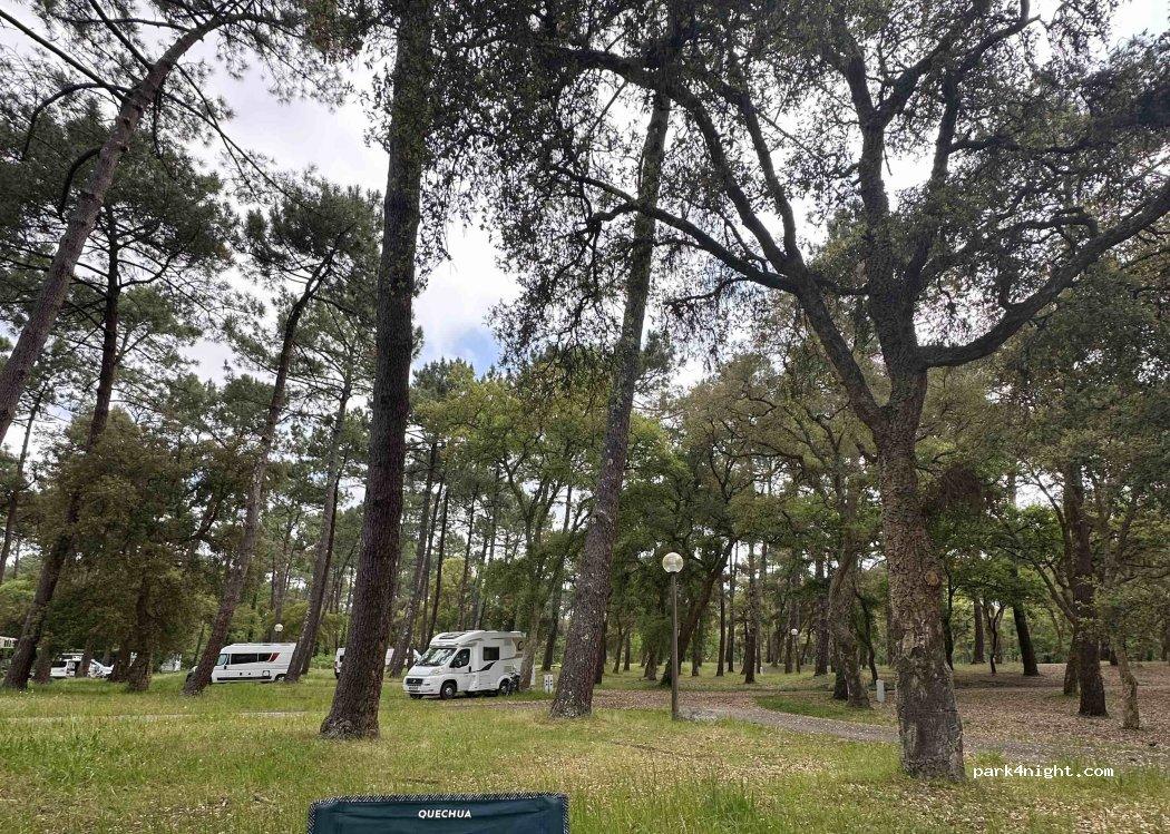 AIRE CAMPING-CAR PARK de SEIGNOSSE - Foto 5