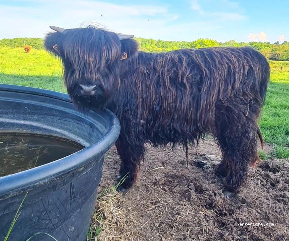 Aire de camping car la maison rouge - Foto 7