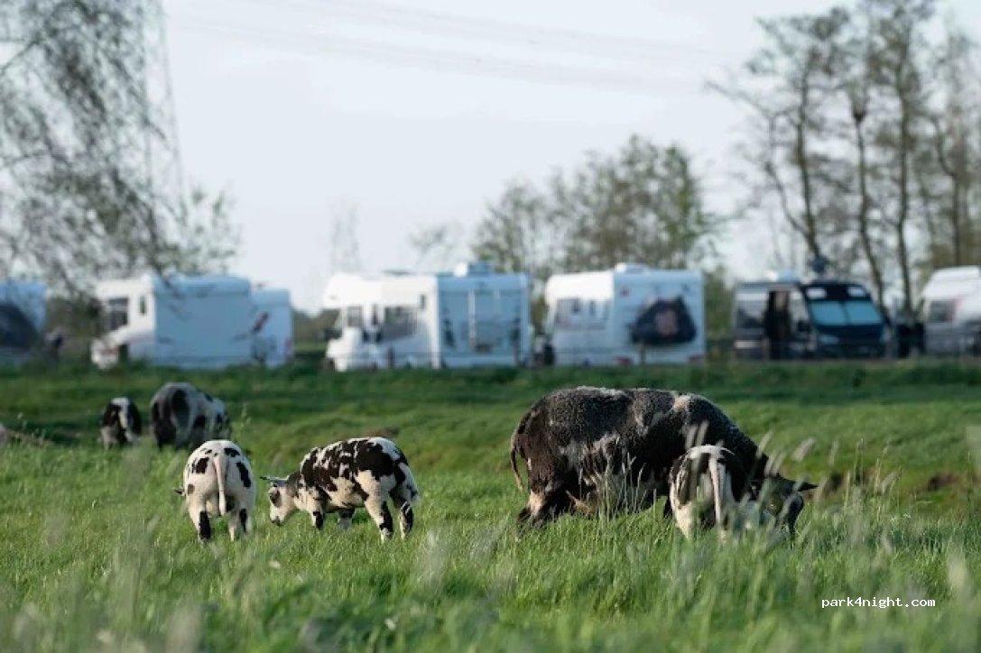 Camperplaats Hofstede Kloosterstein - Foto 2