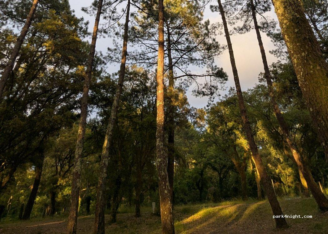 AIRE CAMPING-CAR PARK de SEIGNOSSE - Foto 2