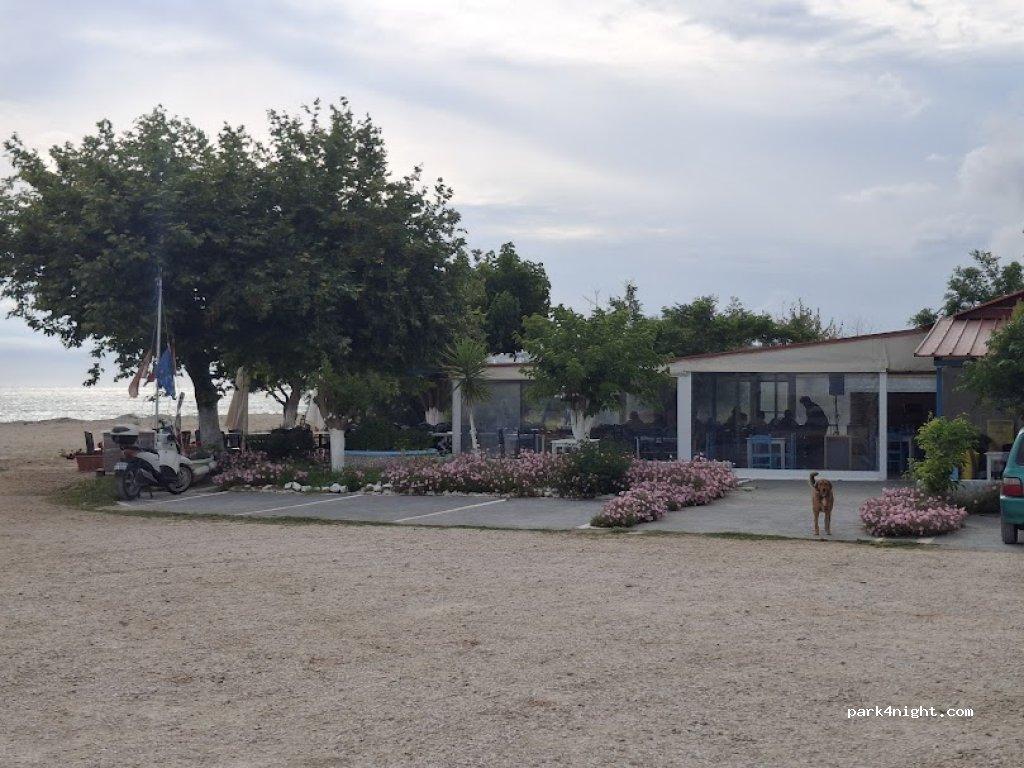 Ahipara TOP 10 Holiday Park - Foto 2