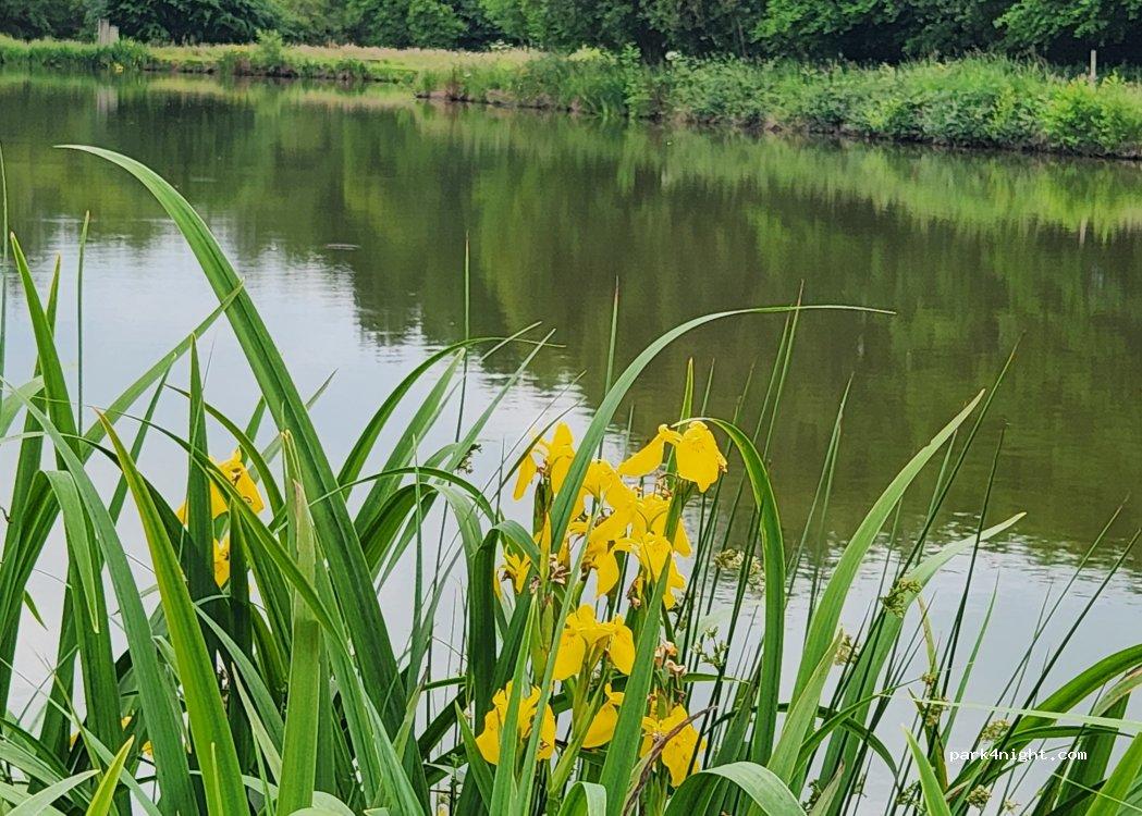 Aire de stationnement pour camping car - Foto 4