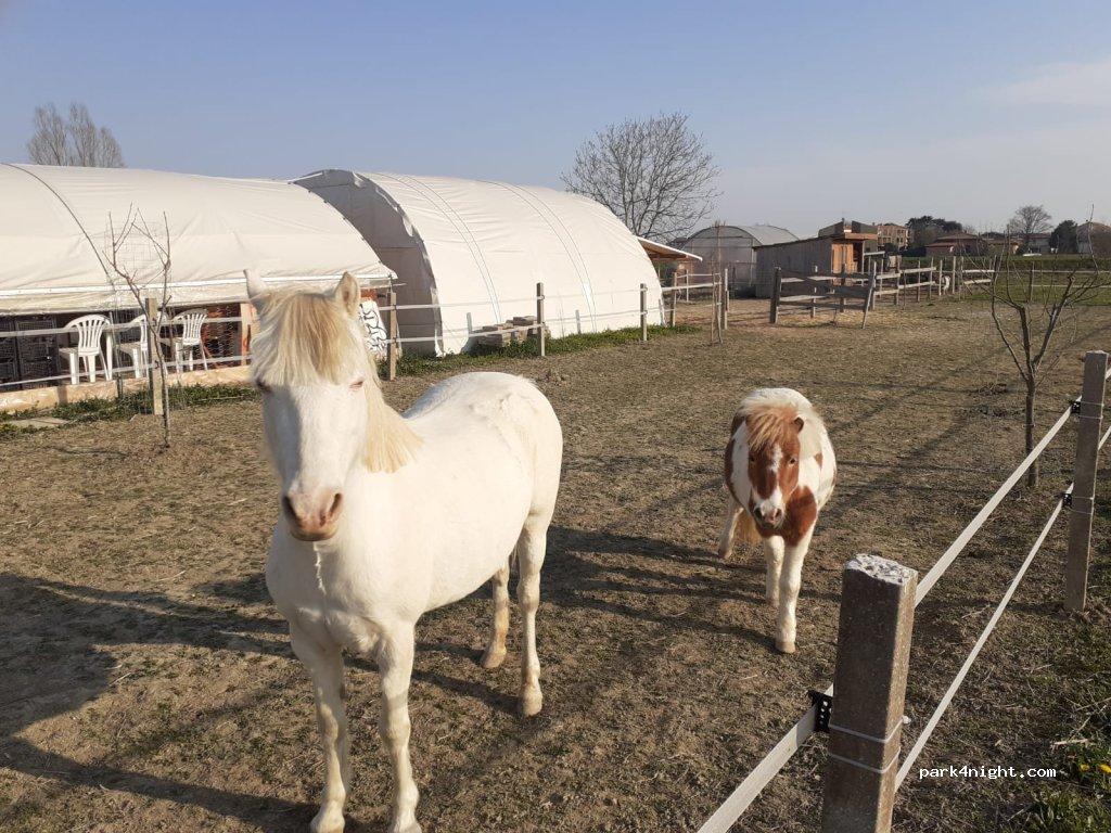 San Giuliano Venice - Foto 4