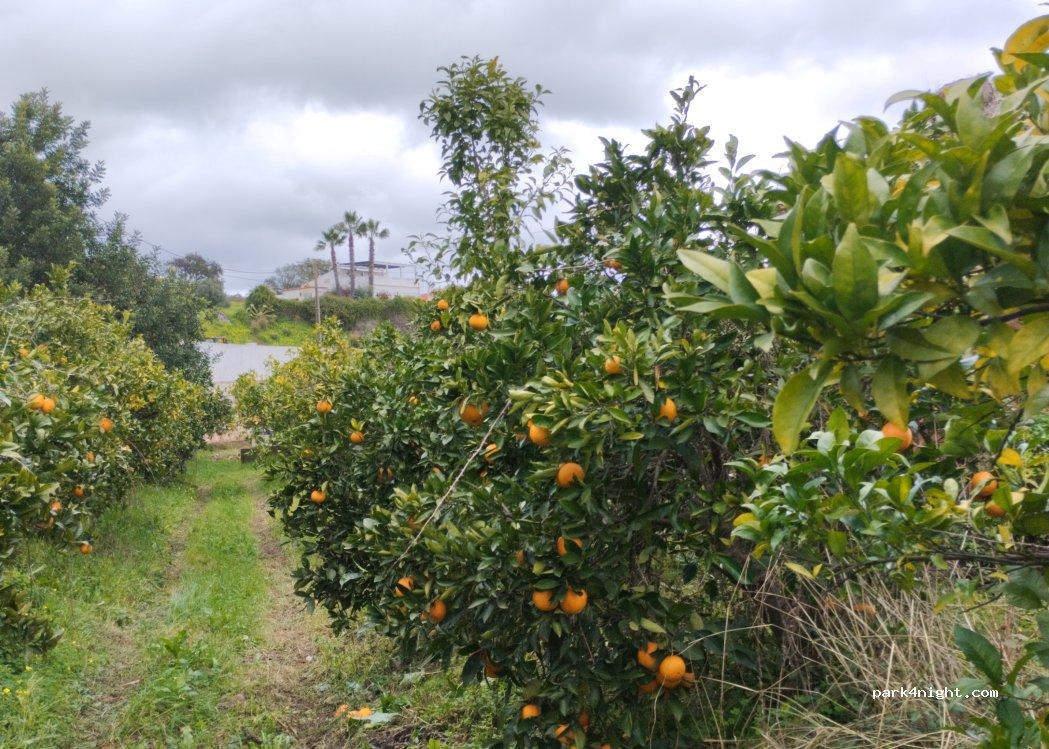 Motorhome Park Silves - Foto 7