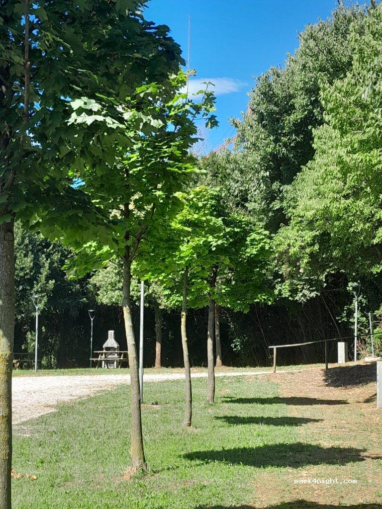 Camping Arbol Solo - Foto 6