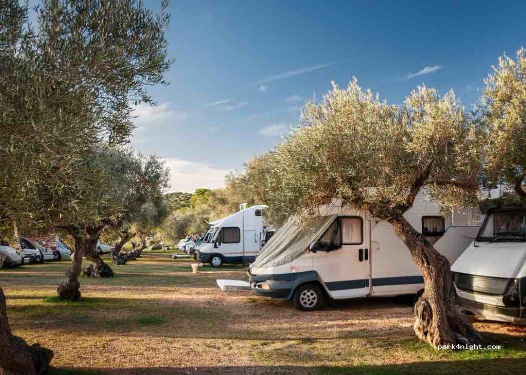 Agricamping, Parcheggio Auto 2 Palme BAIA DEI TURCHI - Foto 5