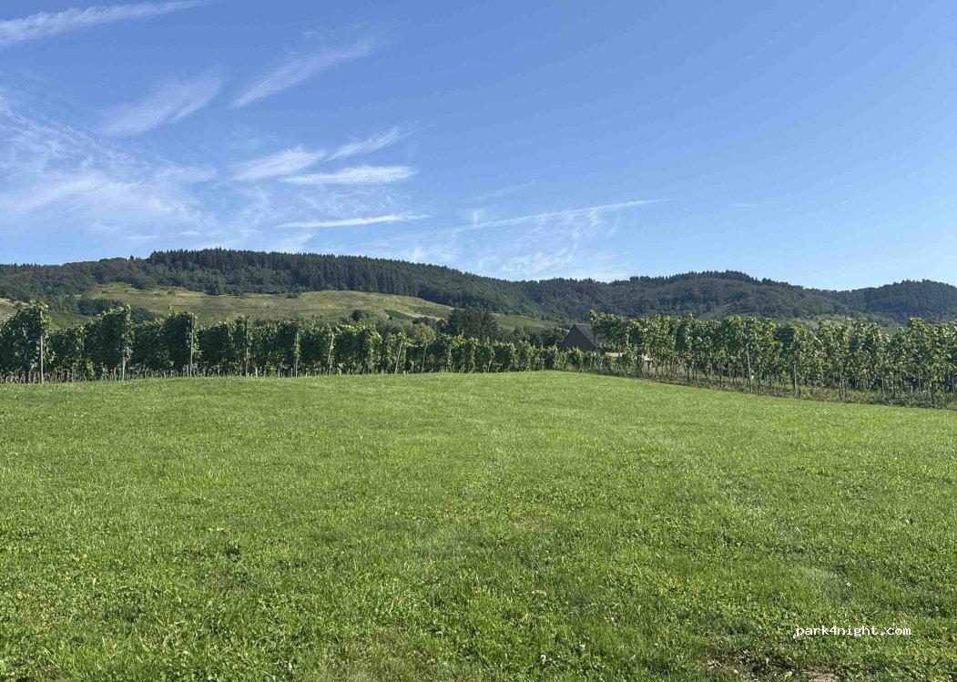 Wohnmobilstellplatz Kinheim - Foto 6