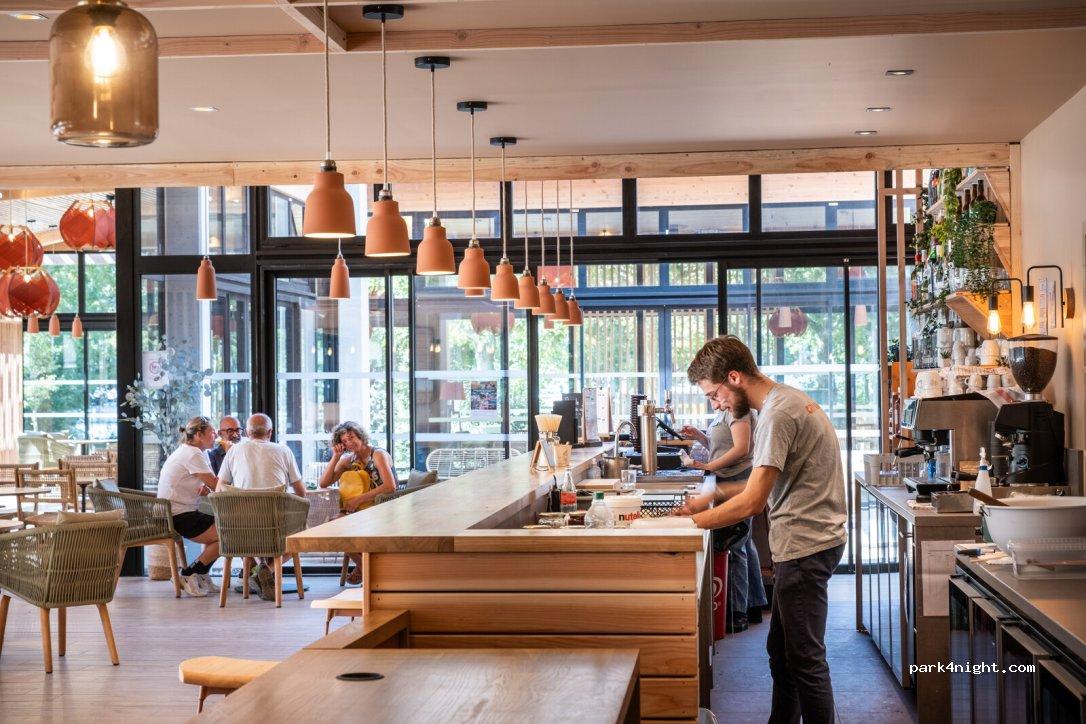 Gigante de madera - Foto 3