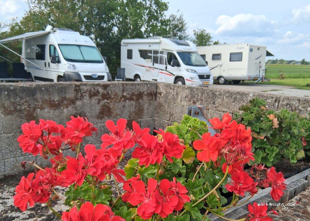 Camperplaats Nieuw Vogelenzang - Foto 3