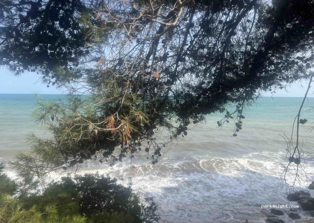 Elianti mare - Foto 3