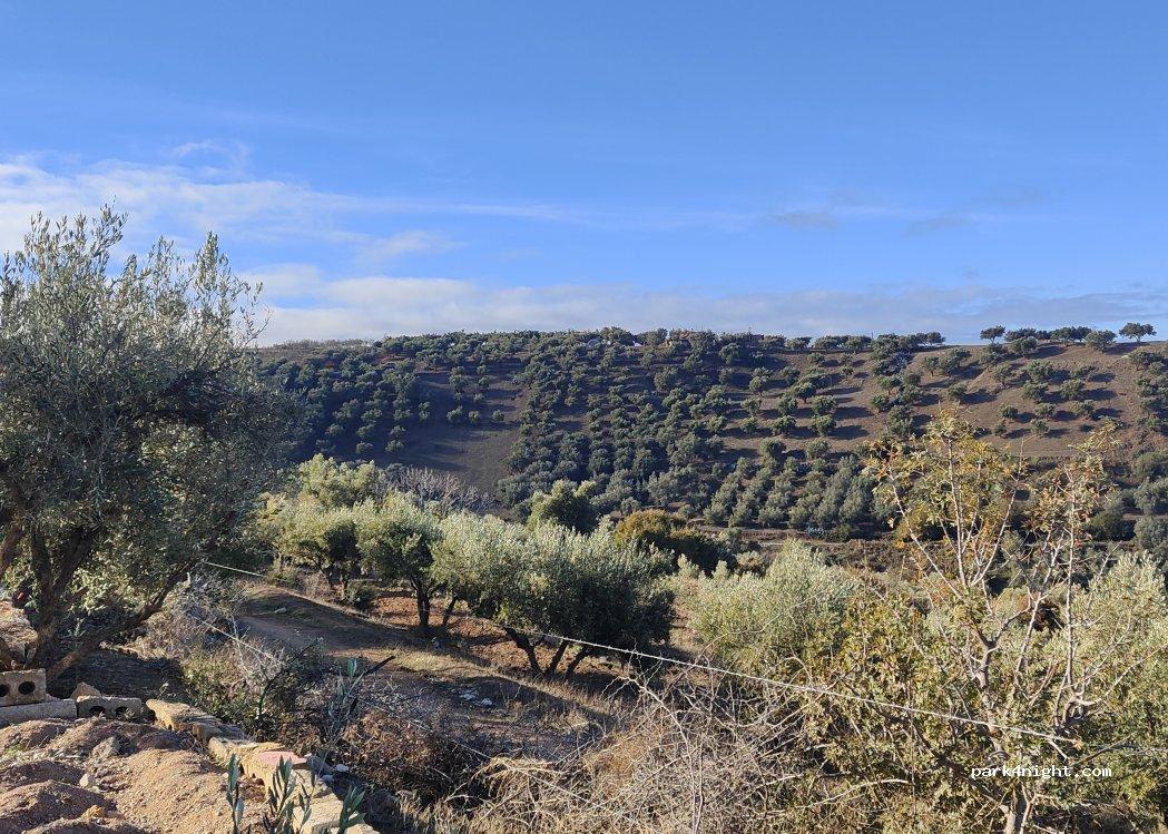 Pineapple creek camping pavones - Foto 2