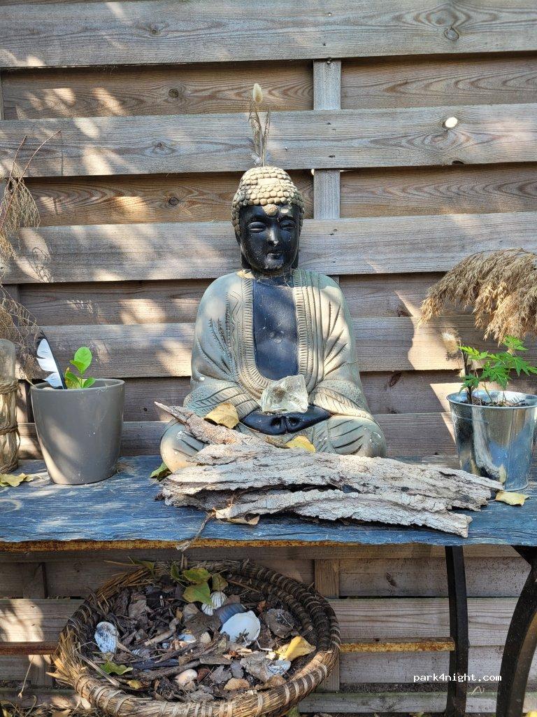 Pineapple creek camping pavones - Foto 3