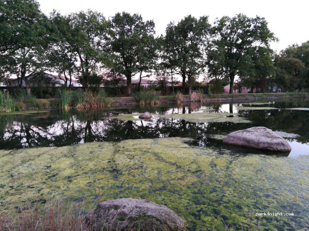 Aire de camping-car BOUSSAY - Foto 5