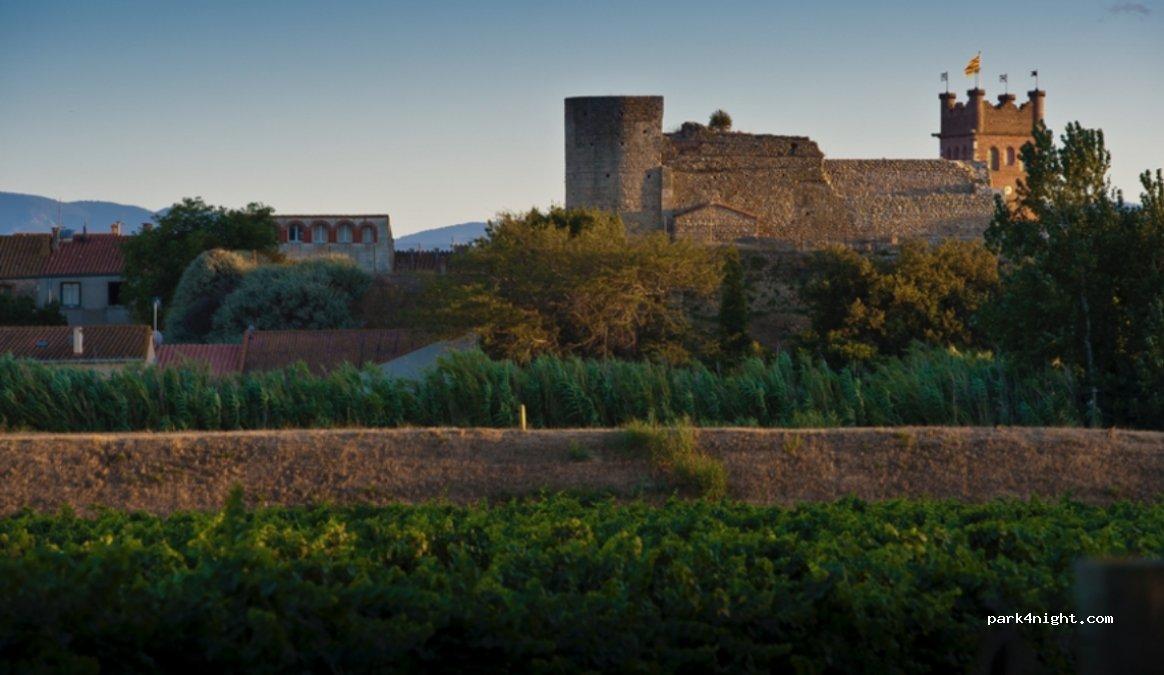 Aire de camping-car Aire des Oliviers - Foto 3