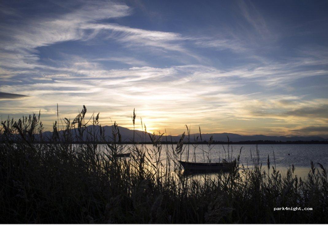 Aire de camping-car Aire des Oliviers - Foto 5