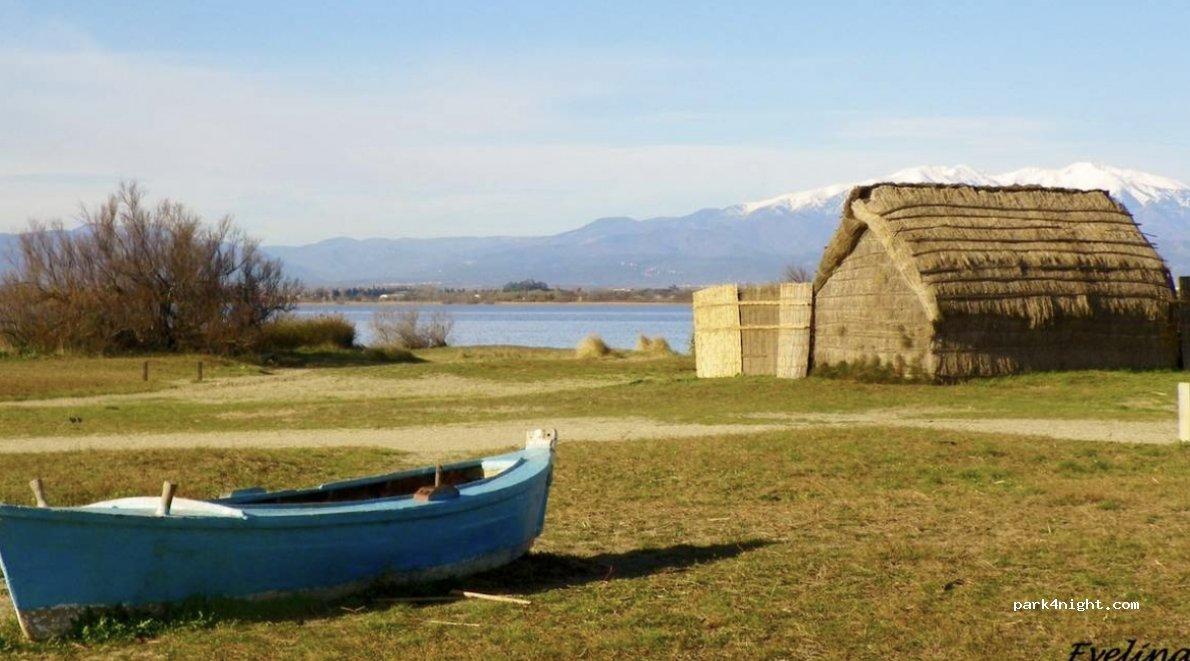 Aire de camping-car Aire des Oliviers - Foto 6