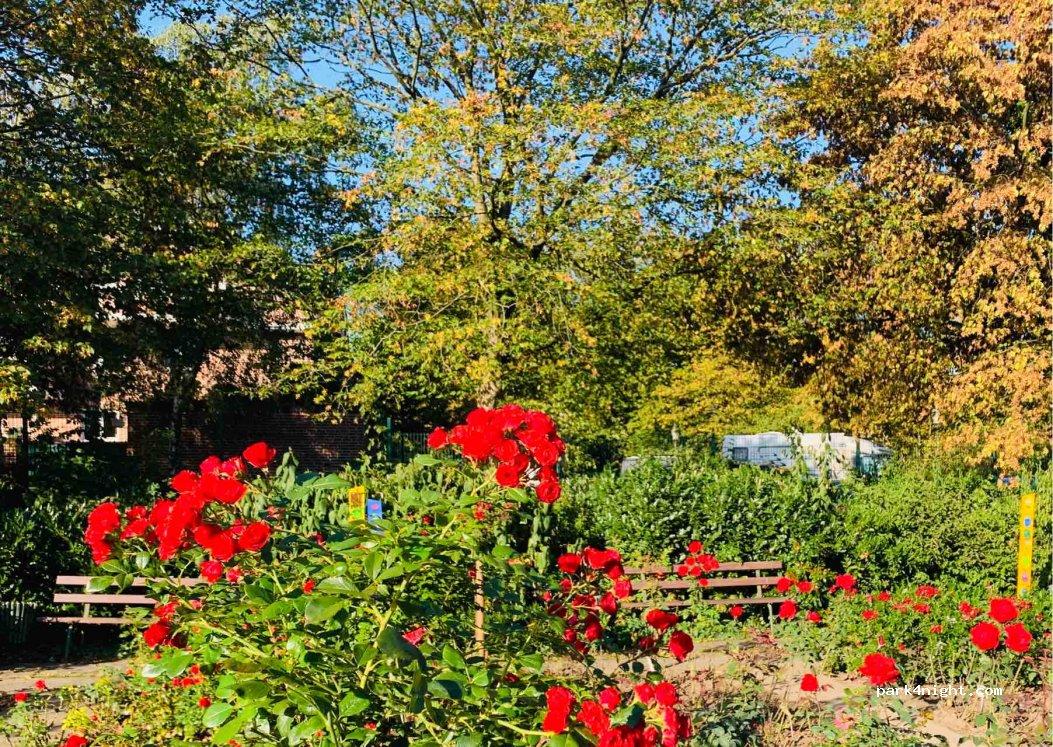 Wohnmobilstellplatz Seppenrade Rosengarten - Foto 4