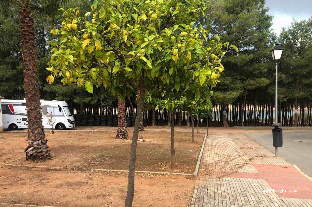 Camping Los Arrayanes - Foto 4