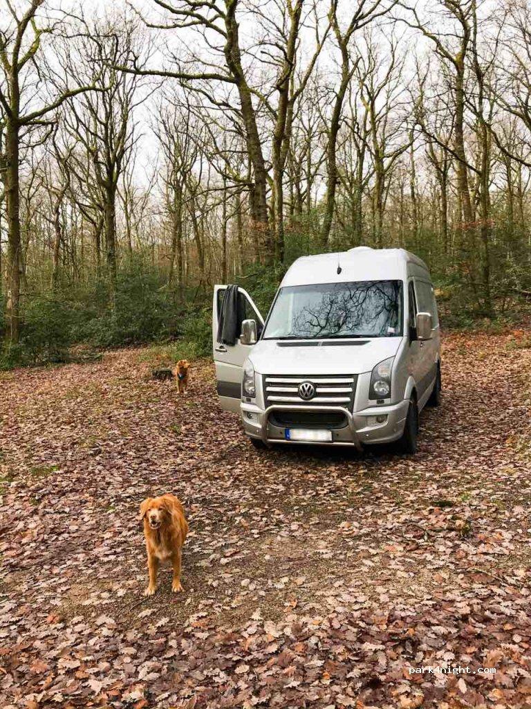 Aire Municipale, Quarré Les Tombes - Foto 4