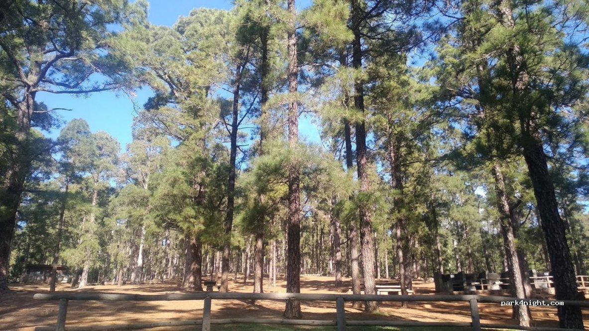 Zona De Acampada De Las Raíces - Foto 4