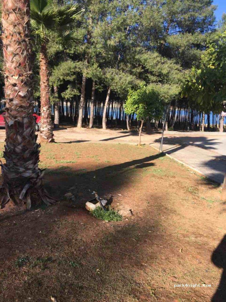 Camping Los Arrayanes